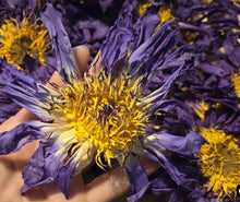 Load image into Gallery viewer, Egyptian Blue Lotus Pure Tea

